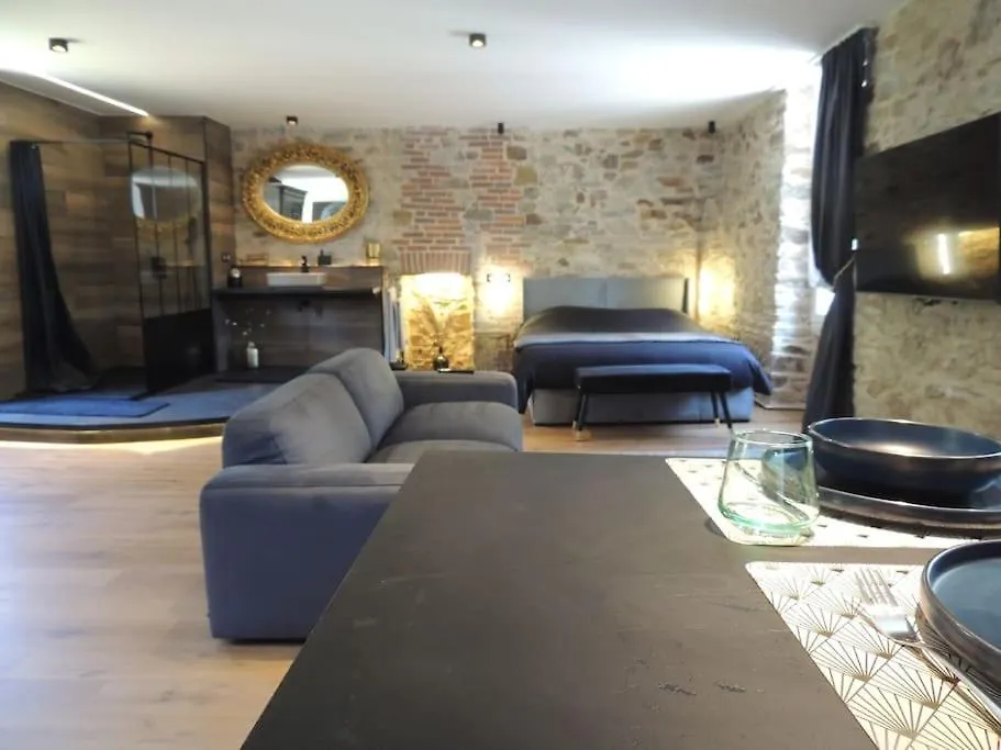 Loft Dans Moulin A Eaux Du 18Eme Apartment Saint-Dolay
