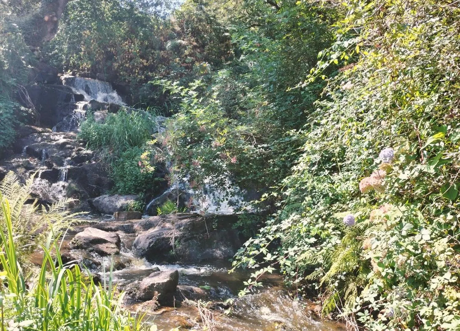 Loft Dans Moulin A Eaux Du 18Eme Apartment Saint-Dolay